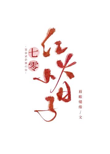 七零红火小日子封面